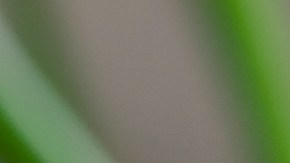 Experta en cocina revela su ingrediente secreto para unos mejores huevos fritos.