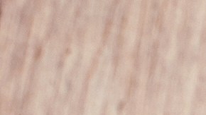 También es cierto que, dependiendo de cómo te comes una fruta, es decir, con o sin cáscara, entera o licuada, puedes aprovechar más sus propiedades