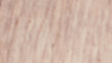 También es cierto que, dependiendo de cómo te comes una fruta, es decir, con o sin cáscara, entera o licuada, puedes aprovechar más sus propiedades