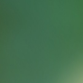 La razón por la que no deberías licuar las frutas, sino comerlas enteras.