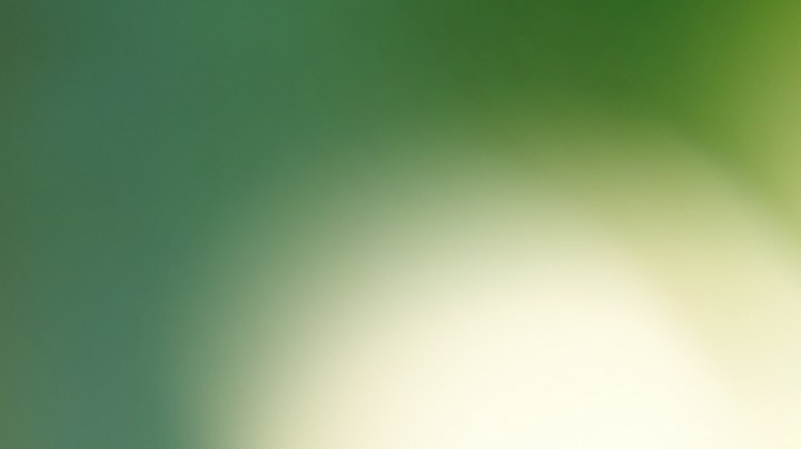 La razón por la que no deberías licuar las frutas, sino comerlas enteras.