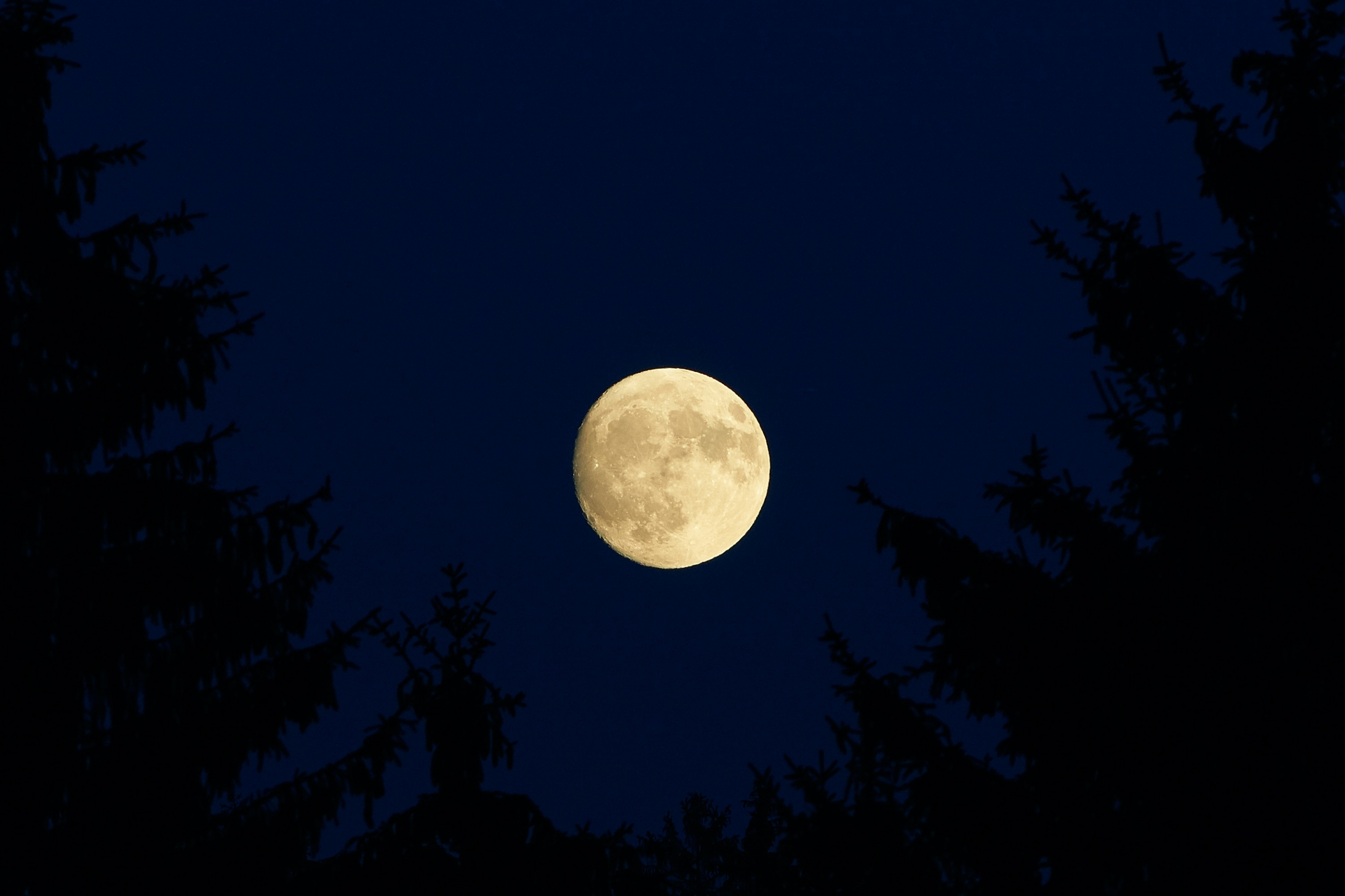 Este 24 de febrero habrá luna llena y se conoce como Luna de Nieve