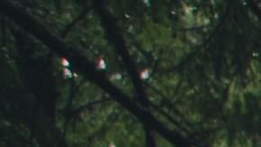 Razones de por qué el fumar cannabis te genera hambre