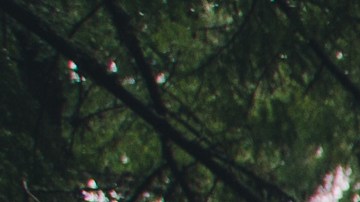 Razones de por qué el fumar cannabis te genera hambre