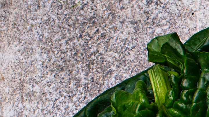 Qué alimentos te ofrecen más potasio.