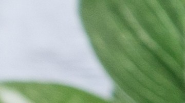 La razón por la que debes remojar las papas antes de cocinarlas.