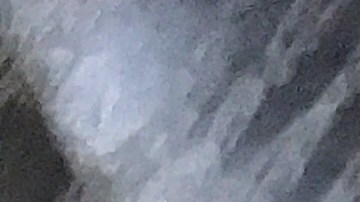 Paso a paso, cómo hacer salsa agridulce casera.