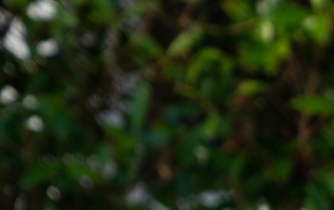 Cómo evitar la asfixia por inmersión en los niños que hacen natación