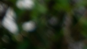 Cómo evitar la asfixia por inmersión en los niños que hacen natación