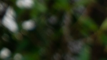 Cómo evitar la asfixia por inmersión en los niños que hacen natación