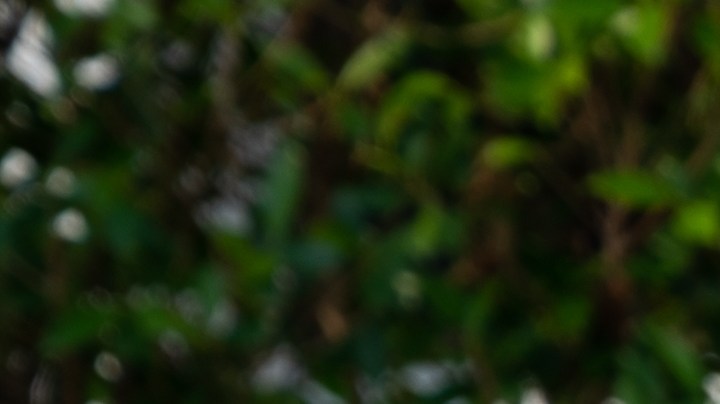 Cómo evitar la asfixia por inmersión en los niños que hacen natación