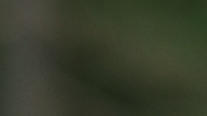 5 claves para evitar la diarrea del viajero, según expertos