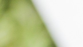 Qué es la disgeusia, y por qué es un trastorno tan desagradable