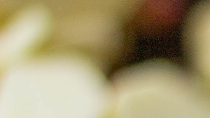 Te decimos cómo aprovecharlas al máximo la fruta con y sin cáscara