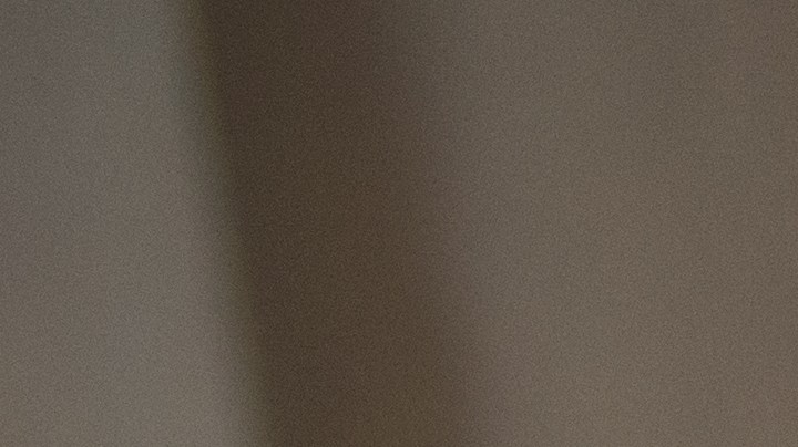 3 plantas medicinales contra la obesidad