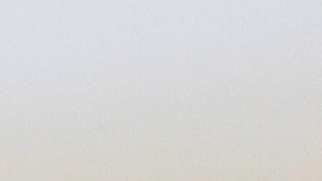 ¿Qué significa que un perro mueva la cola rápido?