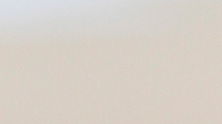 ¿Qué significa que un perro mueva la cola rápido?