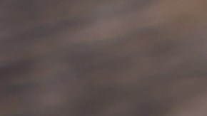 Beneficios que no conocías de la remolacha