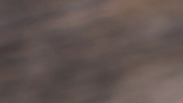 Beneficios que no conocías de la remolacha