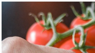 Cuál es la mejor tabla de cortar que debes comprar.