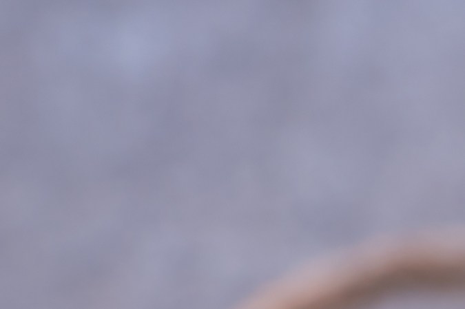 Cómo madurar tus aguacates con un truco casero que no falla.