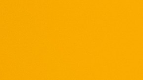 6 consejos para cuidar tu pelo rizado en primavera