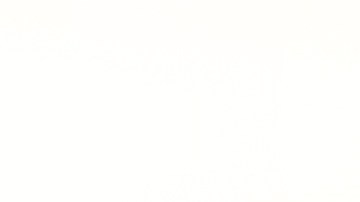 6 alimentos que te ayudan a retrasar las arrugas, según expertos