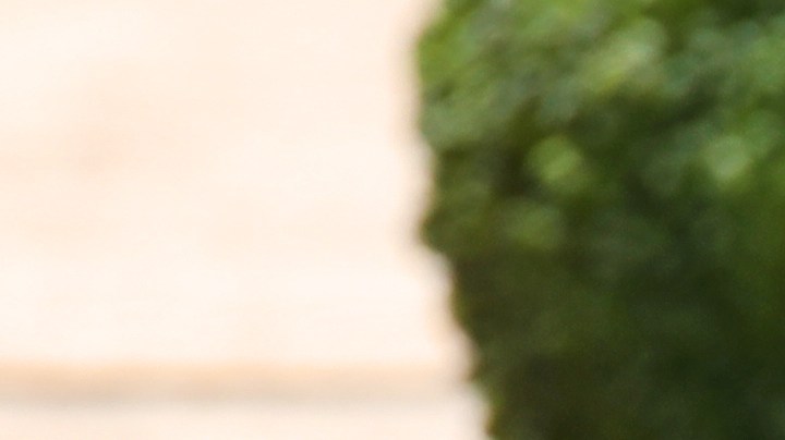 Brócoli: los beneficios nutricionales 2 veces por semana