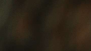 ¿Eres sedentario?: Esta es la cantidad de pasos que debes dar al día