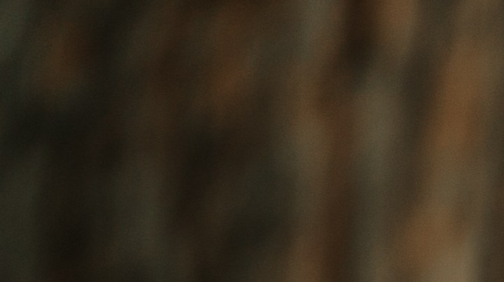 ¿Eres sedentario?: Esta es la cantidad de pasos que debes dar al día