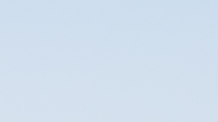 Flores de Bach: para qué sirven, mitos y verdades de usarlas