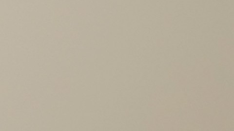 Chao almendras: el fruto seco que sí ayuda a bajar el peso y el colesterol