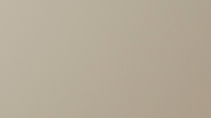 Chao almendras: el fruto seco que sí ayuda a bajar el peso y el colesterol