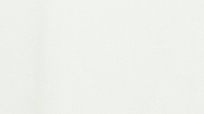 Cómo saber si tu gata está embarazada