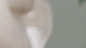 El cuidado de plantas mejora la salud mental, combate la ansiedad y el estrés