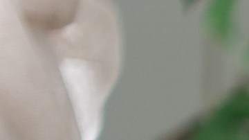 El cuidado de plantas mejora la salud mental, combate la ansiedad y el estrés