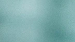 Hacks Para Estar Mejor: Plantas que aromatizan tu hogar