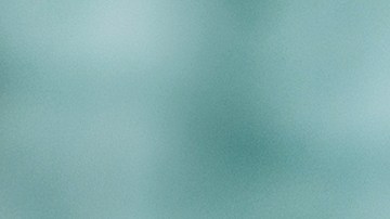 Hacks Para Estar Mejor: Plantas que aromatizan tu hogar