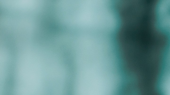 Hacks Para Estar Mejor: Plantas que aromatizan tu hogar