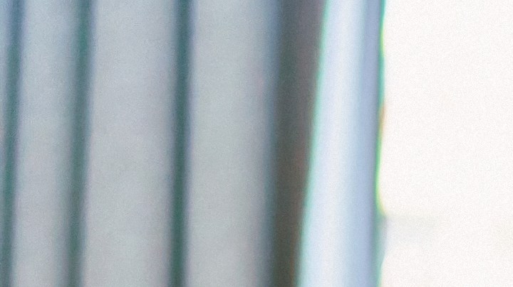 5 Claves para cuidar la piel tomando té antioxidantes