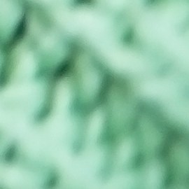 Beneficios del té matcha para la salud