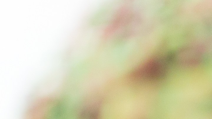 4 razones de por qué tenemos la necesidad de comer azúcar ultraprocesada