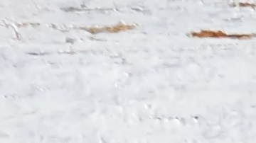 El arroz nunca se mida por la cantidad que quepa en un plato, porque podrías excederte o consumir menos de lo que necesitas.