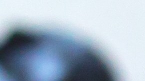 Beneficios de usar los arándanos como tratamiento de belleza