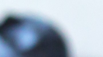 Beneficios de usar los arándanos como tratamiento de belleza