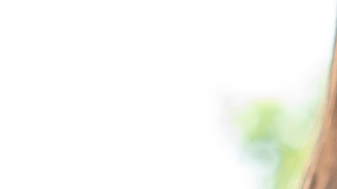 infertilidad en mujeres y hombres