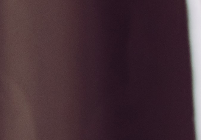 8 Plantas de interior resistentes y fáciles de cuidar