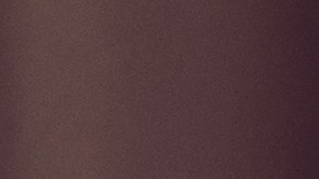 8 Plantas de interior resistentes y fáciles de cuidar