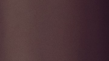 8 Plantas de interior resistentes y fáciles de cuidar