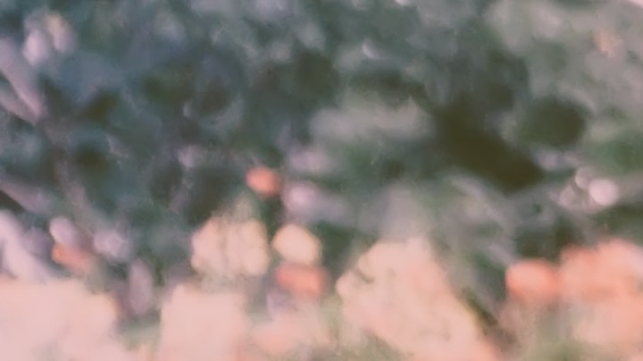 Sentirte atraída por el amigo de tu novio es una de las trampas emocionales más complicadas que puede jugarte la vida.